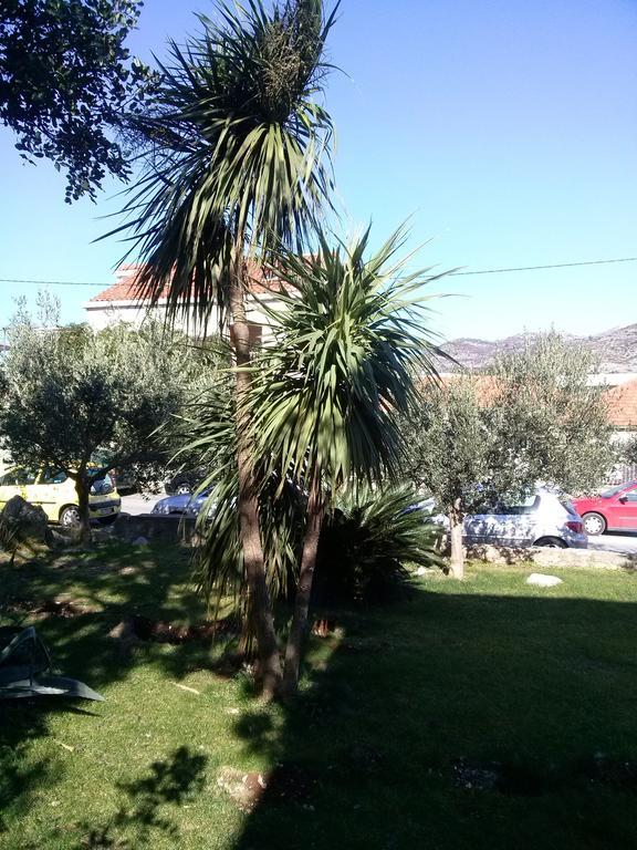 Private Accommodation Carevic Ragusa Esterno foto